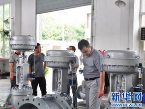 重慶理工大學(xué)成功研發(fā)新型滑板式調(diào)節(jié)閥 已出口國(guó)外