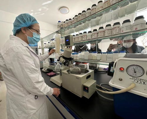 寧夏化妝品風靡俄羅斯市場，新型汽輪機研發(fā)與銷售齊頭并進